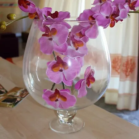 Petri Marini Aglientu